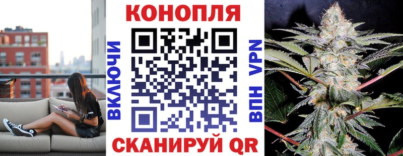 Бошки Шишки Amnesia  Чусовой 